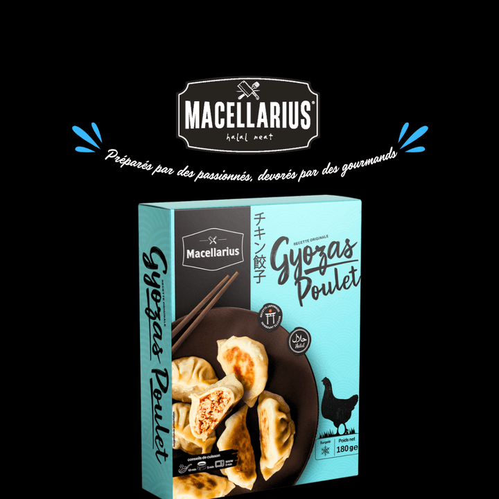 Gyozas poulet Macellarius