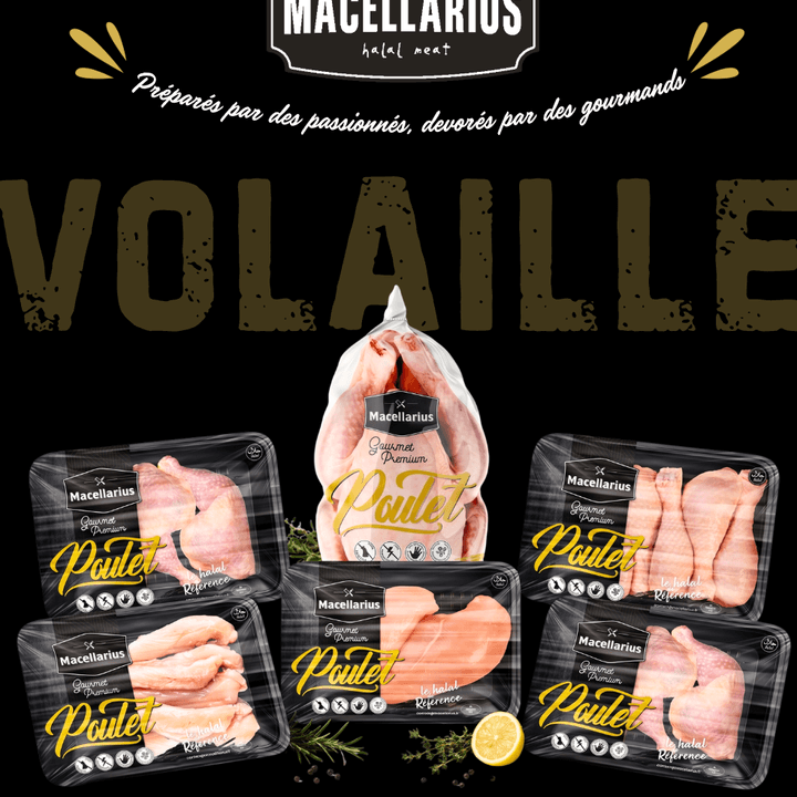 Catégorie Poulet