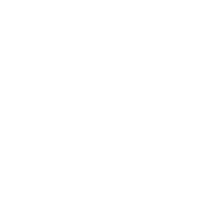 AVS