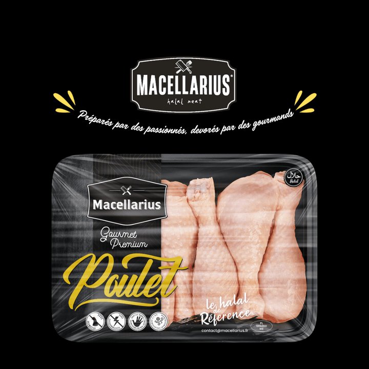 Pilons Macellarius